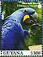 Hyacinth Macaw Anodorhynchus hyacinthinus  2023 Hyacinth Macaw Sheet