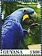 Guyana 2023 Hyacinth Macaw Sheet