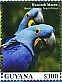 Guyana 2023 Hyacinth Macaw Sheet