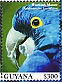 Hyacinth Macaw Anodorhynchus hyacinthinus  2023 Hyacinth Macaw Sheet