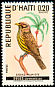 Palmchat Dulus dominicus  1969 Birds 