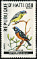 Antillean Euphonia Chlorophonia musica  1969 Birds 
