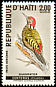 Hispaniolan Woodpecker Melanerpes striatus  1969 Birds 