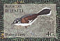 White-winged Warbler Xenoligea montana  1999 Birds Sheet