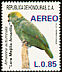 Yellow-naped Amazon Amazona auropalliata