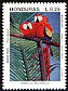 Scarlet Macaw Ara macao