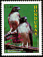 Red-tailed Hawk Buteo jamaicensis  1997 Hondurian birds 