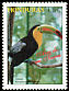 Keel-billed Toucan Ramphastos sulfuratus  1997 Hondurian birds 