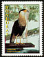 Crested Caracara Caracara plancus  1997 Hondurian birds 