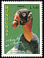 King Vulture Sarcoramphus papa  1997 Hondurian birds 