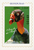 King Vulture Sarcoramphus papa  1997 Hondurian birds imp