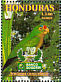 Orange-fronted Parakeet Eupsittula canicularis