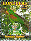 Orange-chinned Parakeet  Brotogeris jugularis