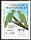 Yellow-naped Amazon Amazona auropalliata  2001 America 