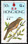 Chinese Hwamei Garrulax canorus  1975 Birds 