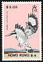 Pied Kingfisher Ceryle rudis  1988 Hong Kong birds 
