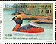 Horned Grebe Podiceps auritus  2003 Waterbirds 