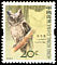 Collared Scops Owl Otus lettia  2006 Birds definitives 