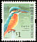 Common Kingfisher Alcedo atthis