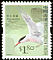 Roseate Tern Sterna dougallii  2006 Birds definitives 