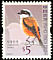 Long-tailed Shrike Lanius schach  2006 Birds definitives 