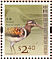 Greater Painted-snipe Rostratula benghalensis  2006 Birds definitives Sheet
