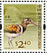 Greater Painted-snipe Rostratula benghalensis  2006 Birds definitives Prestige booklet