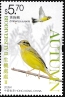 Yellow-breasted Bunting Emberiza aureola