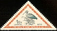 Glossy Ibis Plegadis falcinellus  1952 Birds 