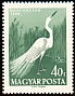 Great Egret Ardea alba  1959 Water birds 