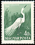 Great Egret Ardea alba