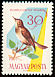 Common Nightingale Luscinia megarhynchos  1961 Birds of the woods and fields 
