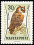Eurasian Eagle-Owl Bubo bubo  1962 Birds of prey 