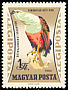 African Fish Eagle Haliaeetus vocifer  1962 Birds of prey 
