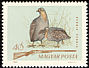 Grey Partridge Perdix perdix  1964 Hunting 10v set