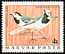 White Wagtail Motacilla alba  1977 Birds of Hortobagy national park 