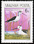 Black-winged Stilt Himantopus himantopus  1980 Protected birds 