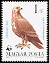 Lesser Spotted Eagle Clanga pomarina  1983 WWF, birds of prey 