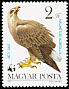 White-tailed Eagle Haliaeetus albicilla  1983 WWF, birds of prey 