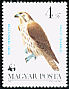 Saker Falcon Falco cherrug  1983 WWF, birds of prey 
