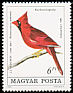 Northern Cardinal Cardinalis cardinalis  1985 Audubon 