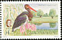 Black Stork Ciconia nigra  2000 National parks: Ferto-Hansag, Duna-Drava 
