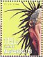 Northern Bald Ibis Geronticus eremita  2016 Young animals 12v sheet