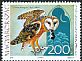 Western Barn Owl Tyto alba  2017 Owls 