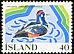 Harlequin Duck Histrionicus histrionicus  1977 European wetlands campaign 