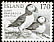 Atlantic Puffin Fratercula arctica  1980 Fauna 5v set