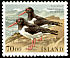 Eurasian Oystercatcher Haematopus ostralegus  1987 Birds 
