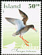 Common Redshank Tringa totanus  2002 Birds 