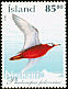 Red Phalarope Phalaropus fulicarius  2002 Birds 