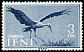 White Stork Ciconia ciconia  1960 Birds 